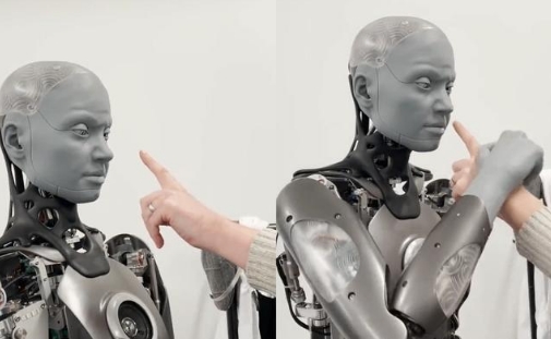 仿生機器人 仿生機器人